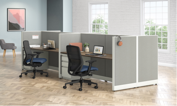 Accelerate FAST!  "Hon Now" Quickship